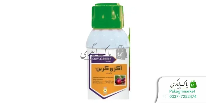 ایگزی گرین