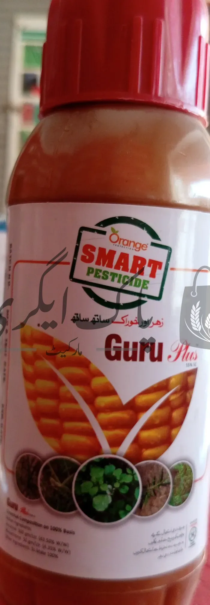 گرو پلس