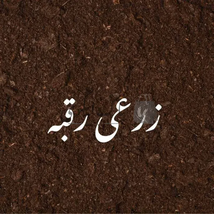 زرعی رقبہ براۓ فروخت