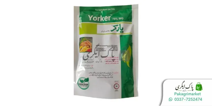يورکر 75٪ ڈبلیو جی