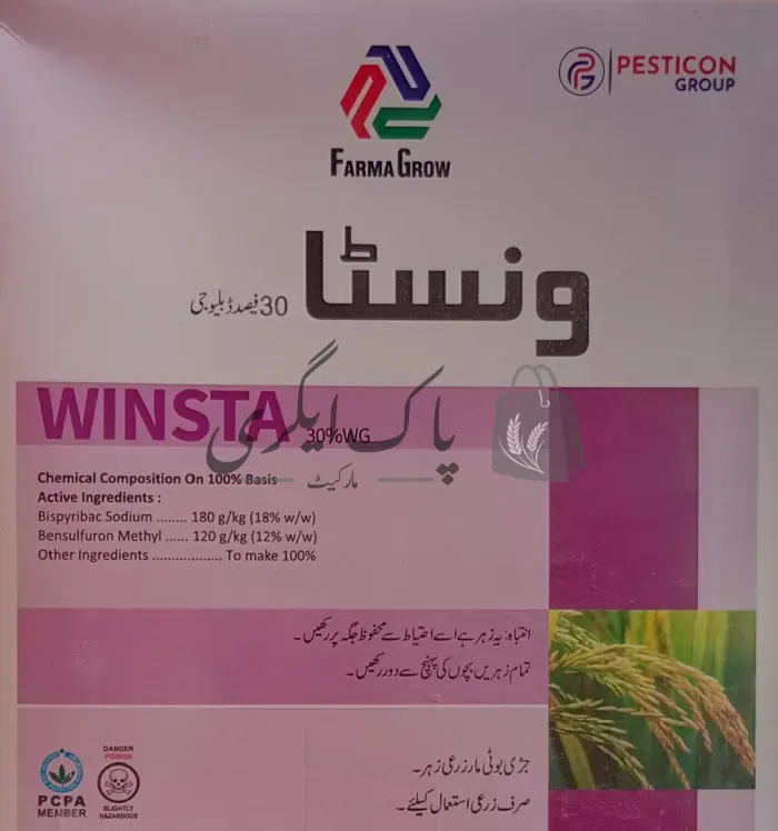 ونسٹا
