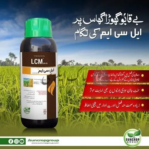 ایل سی ایم