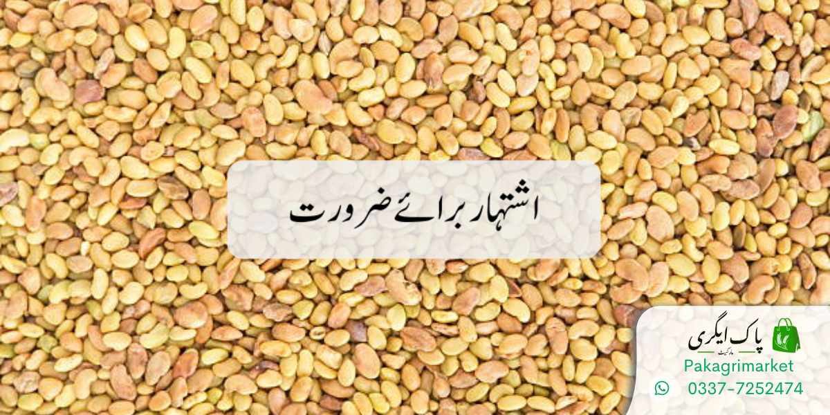 Luser Seed Lucerne Seed | Rawalpindi | Islamabad