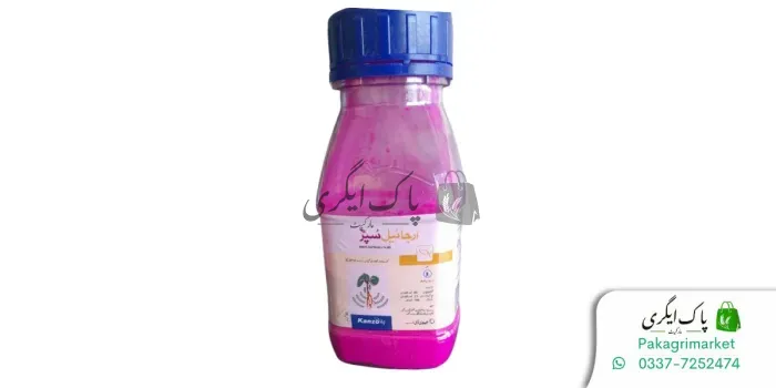 آرگائل سپر 62.5% ڈبلیو ایس