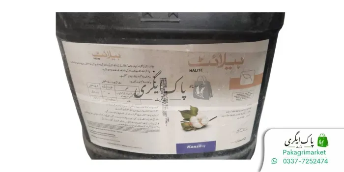 ہیلائٹ