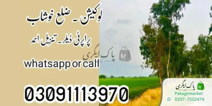 زرعی زمین برائے فروخت
