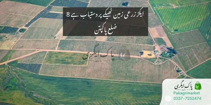 زرعی زمین - ۸ ایکڑ