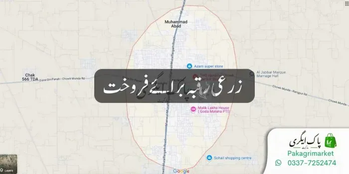 زرعی رقبہ برائے فروخت