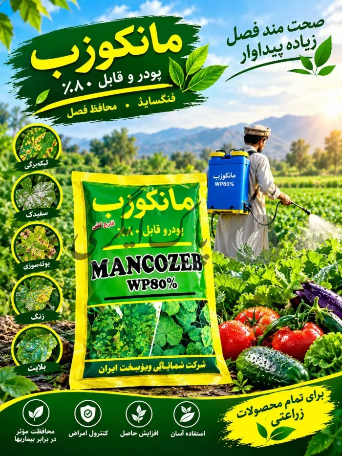 مانکوزیب 80٪ ڈبلیو پی