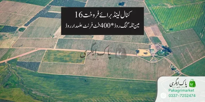 زمین برائے فروخت