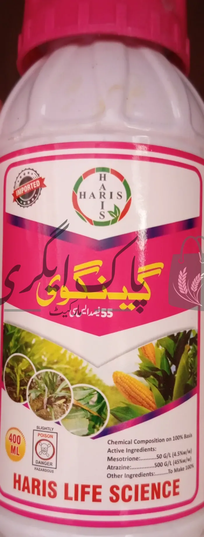 گینگوی