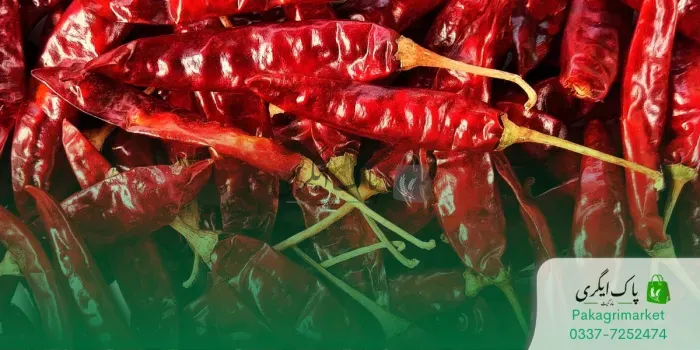 سرخ مرچ کے فارم کے لیے انوسٹر کی ضرورت
