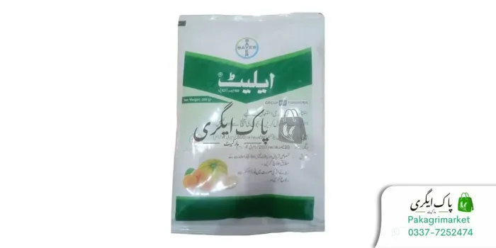 ایلیئٹ 80 ڈبلیو پی