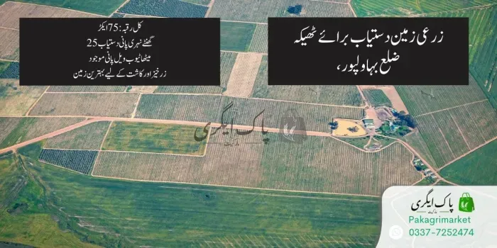 زرعی زمین