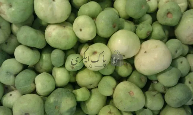 کٹ لنگ ٹینڈا کے بیج