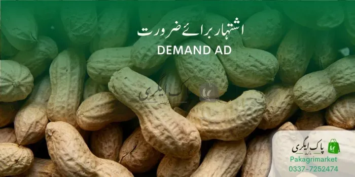 مونگ پھلی کے بیج کی ضرورت ہے