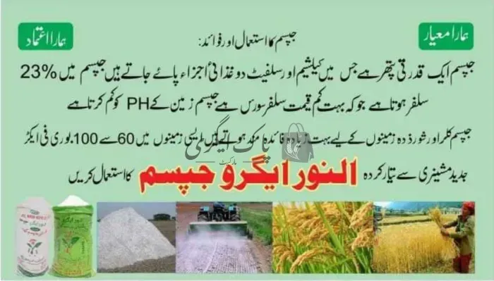 النور ایگرو جپسم | تونسہ شریف | زرعی جپسم سپلائیرز | پاک اگری مارکیٹ