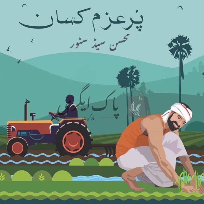 پاک اگری مارکیٹ