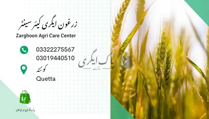 زرغون ایگری کیئر سینٹر | کوئٹہ | زرعی ادویات کے ڈیلر و دوکانیں | پاک اگری مارکیٹ