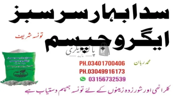 سدا بہار سرسبز ایگرو جپسم | تونسہ شریف | زرعی جپسم سپلائیرز | پاک اگری مارکیٹ