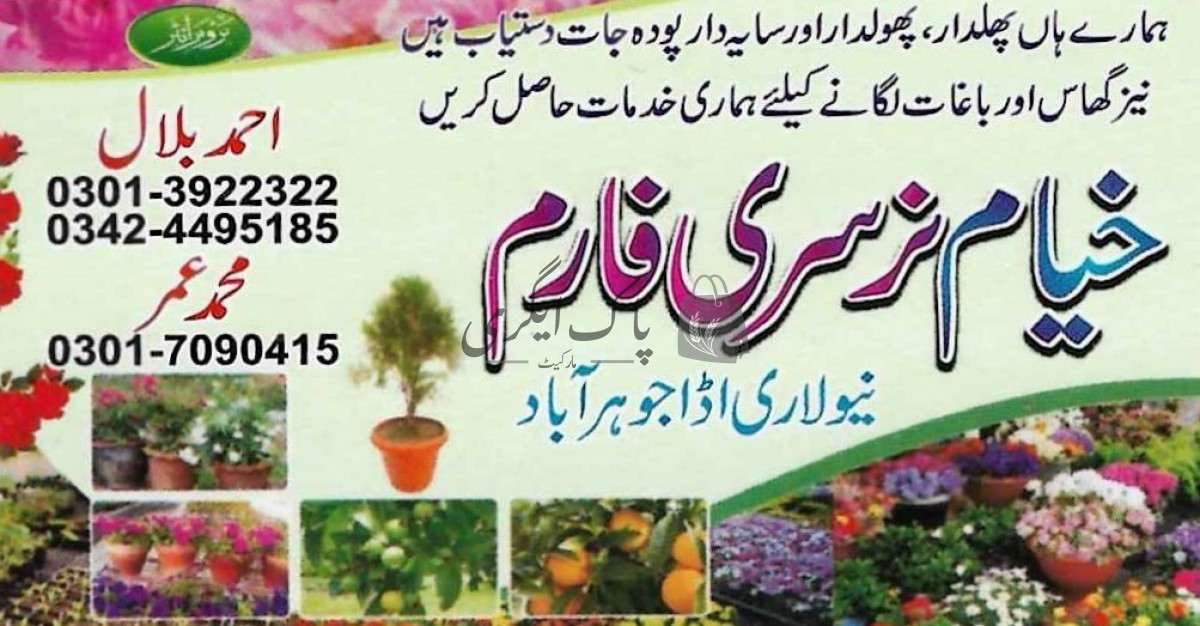 آک ایگری مارکیٹ۔