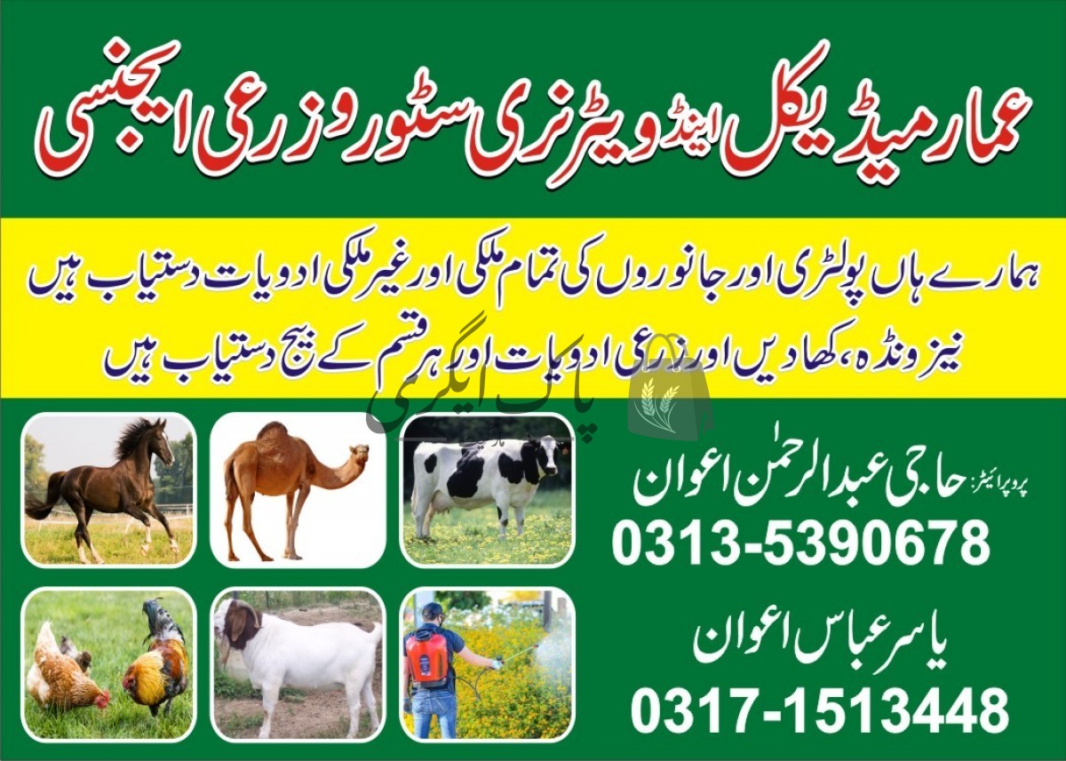 آک ایگری مارکیٹ۔