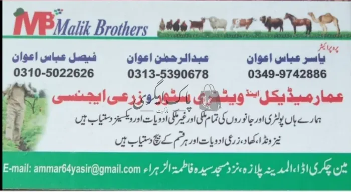 عمارمیڈیکل اینڈ ویٹرنری سٹور | راولپنڈی | ویٹرنری میڈیکل اسٹور | پاک اگری مارکیٹ