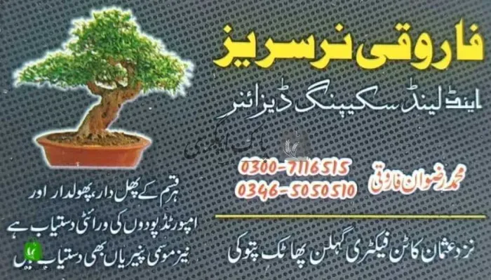 فاروقی نرسری فارم | پتوکی | پنیری فروش، نرسریاں و لینڈ سکیپنگ سروسز | پاک اگری مارکیٹ