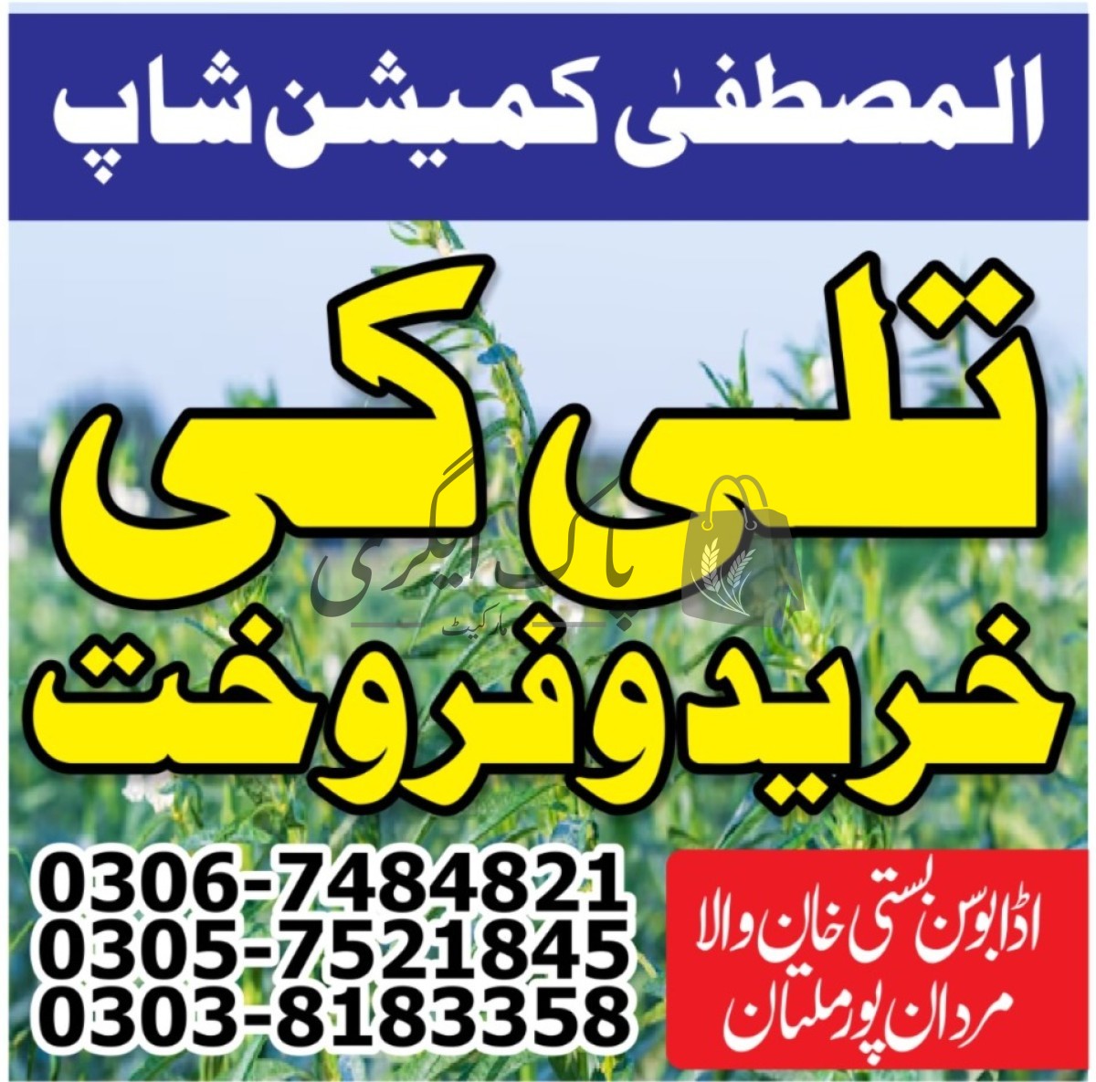 پاک اگری مارکیٹ
