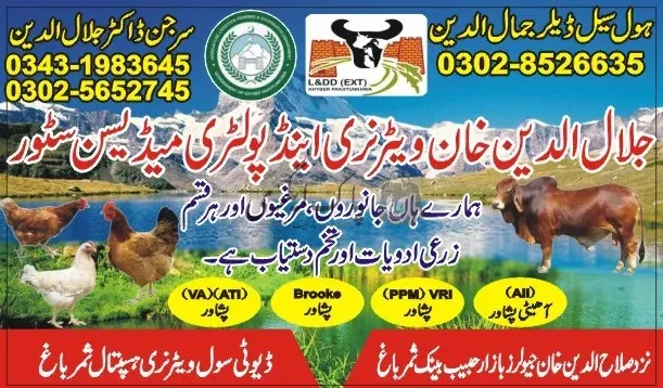 جلال الدین خان وٹیرنری سٹور | ثمر باغ | زرعی ادویات کے ڈیلر و دوکانیں | پاک اگری مارکیٹ