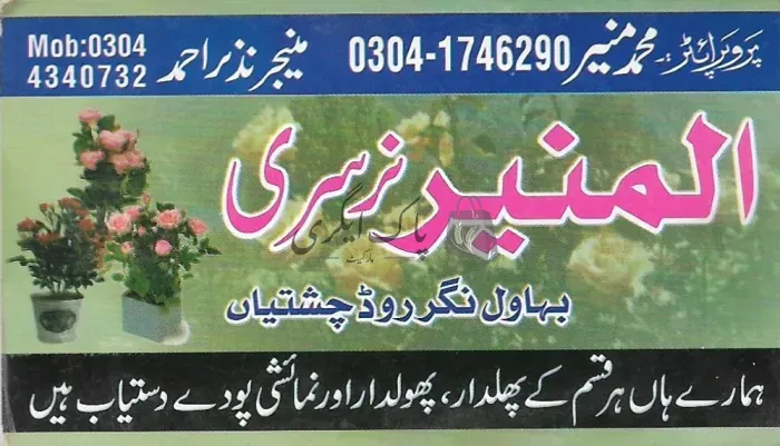 المنیر نرسری | چشتیاں | پنیری فروش، نرسریاں و لینڈ سکیپنگ سروسز | پاک اگری مارکیٹ