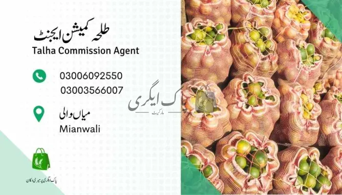 طلحہ ایند کو | میانوالی | سبزی ایجنٹس | پاک اگری مارکیٹ