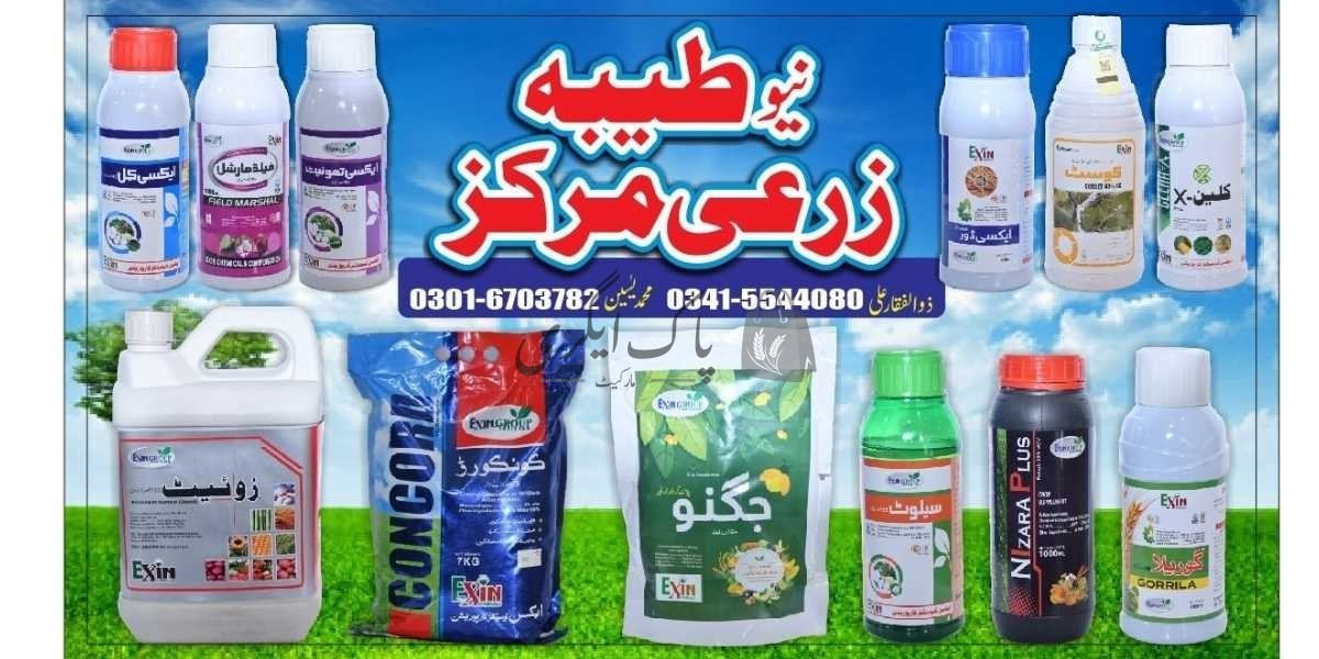 پاک اگری مارکیٹ