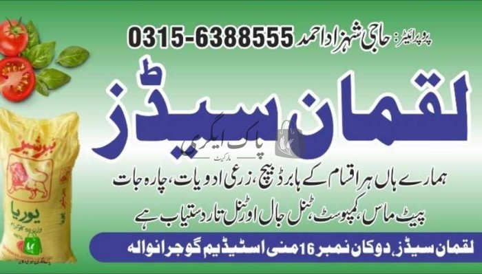 لقمان سیڈز