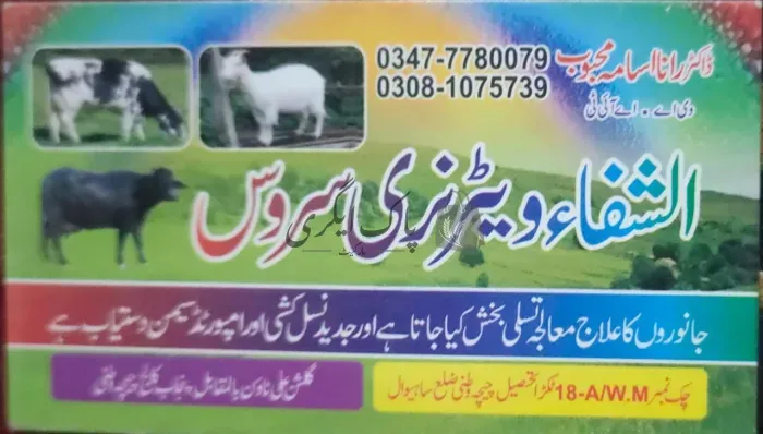 الشفاوایٹرنری سروس | چیچہ وطنی | ویٹرنری میڈیکل اسٹور | پاک اگری مارکیٹ