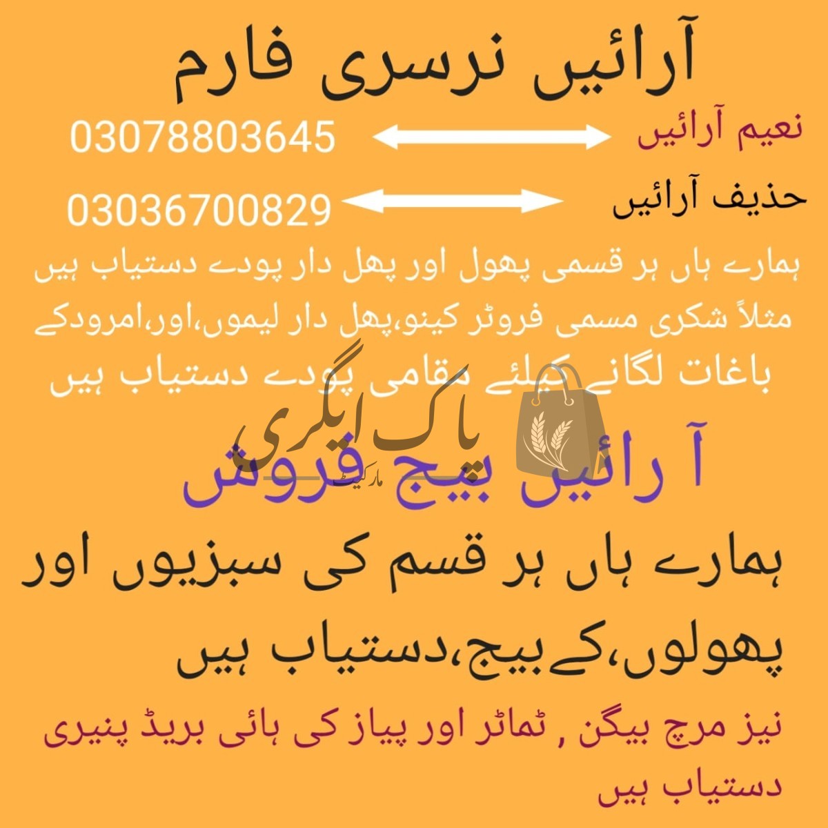 آ رائیں  نرسری فارم لیہ-پاک اگری مارکیٹ