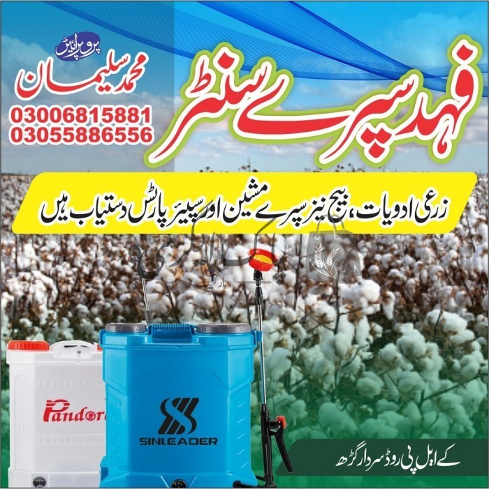 پاک اگری مارکیٹ