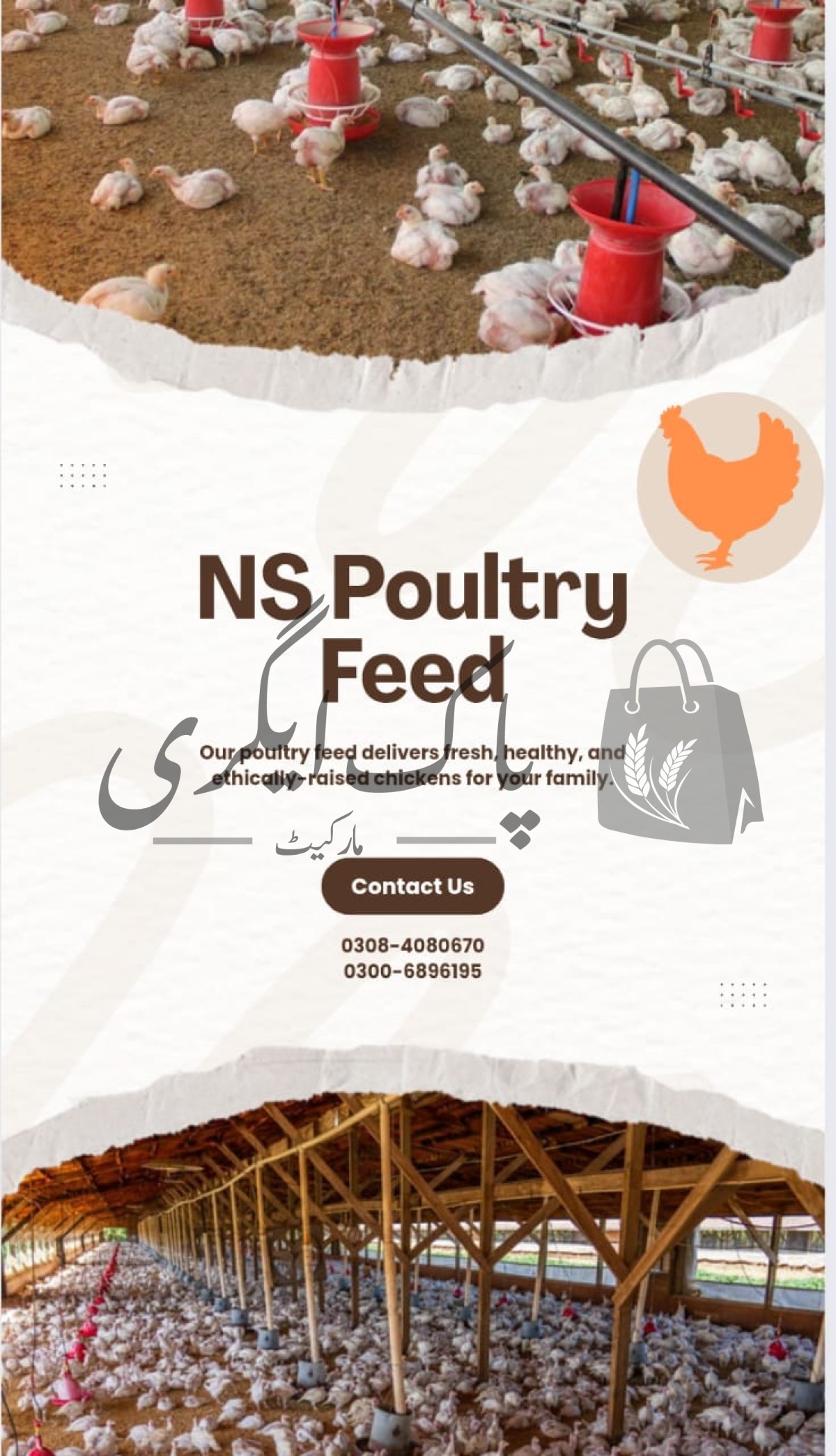 پاک اگری مارکیٹ پاک اگری مارکیٹ