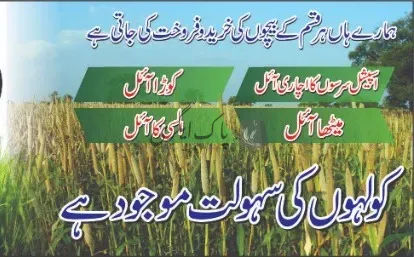 بسم الله بیج و آئل سنٹر | گوجرہ | زرعی مراکز | پاک اگری مارکیٹ