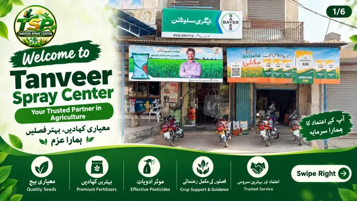 تنویر سپرے سنٹر | ٹوبہ ٹیک سنگھ | زرعی مراکز | پاک اگری مارکیٹ
