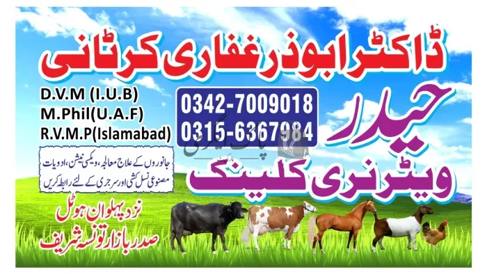 حیدر ویٹرنری کلینک | تونسہ شریف | ویٹرنری ڈاکٹر | پاک اگری مارکیٹ