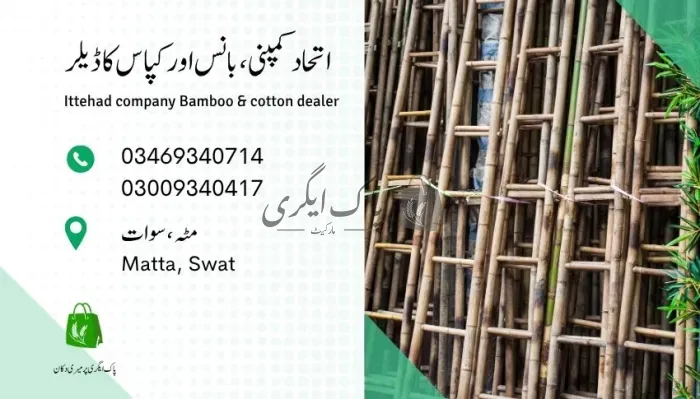 اتحاد کمپنی، بانس اور کپاس ڈیلر | سوات | اجناس کمیشن ایجنٹس | پاک اگری مارکیٹ