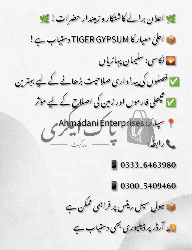 احمدانی انٹرپرائزز | تونسہ شریف | زرعی جپسم سپلائیرز | پاک اگری مارکیٹ