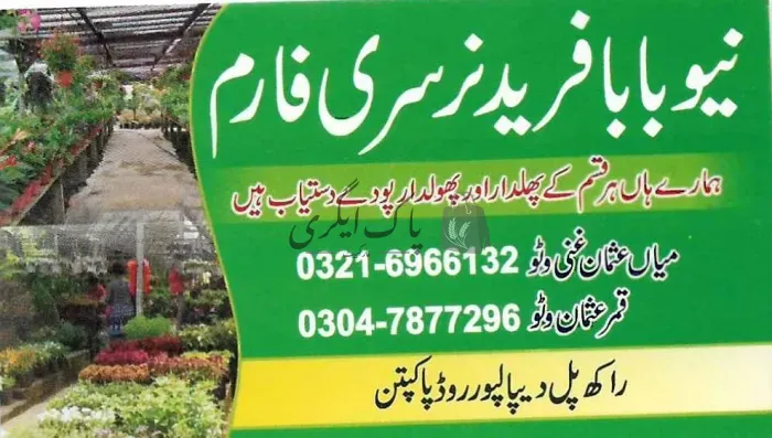 نیو بابا فرید نرسری فارم | پاکپتن | پنیری فروش، نرسریاں و لینڈ سکیپنگ سروسز | پاک اگری مارکیٹ