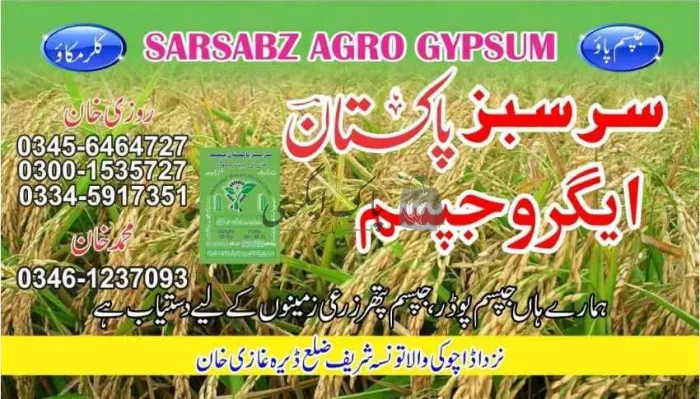 سرسبز ایگرو جپسم