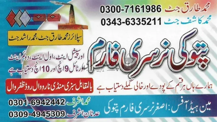 پتوکی نرسری فارم | ظفروال | پنیری فروش، نرسریاں و لینڈ سکیپنگ سروسز | پاک اگری مارکیٹ