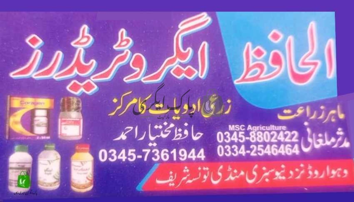 الحافظ ایگرو ٹریڈرز تونسہ شریف-پاک اگری مارکیٹ