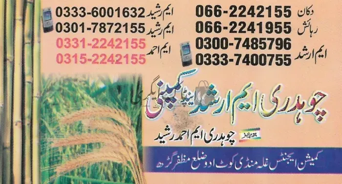 ایم ارشد اینڈ کمپنی | کوٹ ادو | اجناس کمیشن ایجنٹس | پاک اگری مارکیٹ
