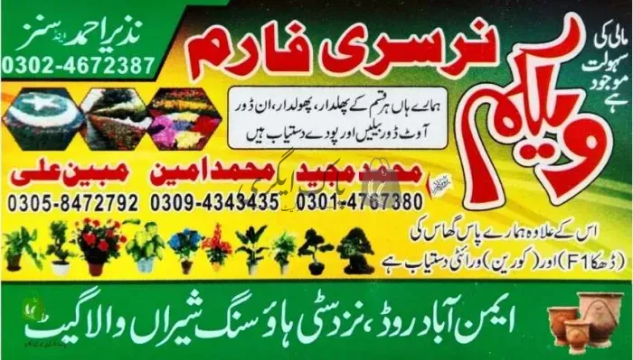ویلکم نرسری | ڈسکہ | پنیری فروش، نرسریاں و لینڈ سکیپنگ سروسز | پاک اگری مارکیٹ