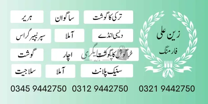 زین فوڈ فارمنگ | لاہور | پنیری فروش، نرسریاں و لینڈ سکیپنگ سروسز | پاک اگری مارکیٹ